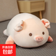 可愛(ài)趴趴小豬毛絨玩具招財豬玩偶娃娃睡覺(jué)抱枕生日七夕禮物送女生 圓眼-趴趴豬【特級親膚牛奶絨】 50厘米【中號】10%送禮選擇