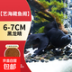 金魚(yú)活魚(yú)不加溫冷水魚(yú)觀(guān)賞魚(yú)淡水魚(yú)活體草金魚(yú)苗小金魚(yú)好養寵物魚(yú) 6-7CM黑龍睛2條