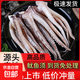 魷魚須燒烤海鮮食材冷凍章魚生鮮尤魚鐵板魷魚串腿海鮮商用批發(fā) 魷魚須【二本足】300g/袋*2