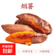 正宗煙薯25號流油流蜜烤紅薯蜜薯產地直發(fā)番薯 凈重4.5斤 單果50-150g