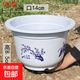 特價(jià)加厚綠蘿盆栽花盆育苗盆陽(yáng)臺室內圓形綠植塑料大花盆清倉 A180型號口14cm【白色】 （塑料盆）盆加托【各1個(gè)】