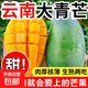 京喜加云南青皮大芒果 2斤單果200g+