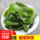 大連 鮮海帶 裙帶菜 海帶嫩苗兒童海白菜 海藻菜 大連鹽漬裙帶菜葉250g