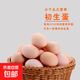 山林鮮雞蛋初產(chǎn)開(kāi)窩蛋新鮮現發(fā)單枚蛋40g正負5g-15枚 10枚