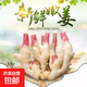新鮮紅芽嫩仔姜現(xiàn)挖現(xiàn)發(fā)生姜蔬菜彩椒小黃姜洋蔥水果生鮮生姜 紅芽嫩姜現(xiàn)挖發(fā)帶泥凈重2斤裝
