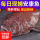 鮮活深海安康魚(yú)燈籠魚(yú)鮟鱇魚(yú)超大蛤蟆魚(yú)大嘴魚(yú)新鮮魚(yú)肝魚(yú)肚特大 3-4斤/條