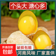襄源河南特產(chǎn)雞蛋水晶變蛋無(wú)鉛工藝糖心松花蛋農家自制手工皮蛋 變蛋20枚裝 原味