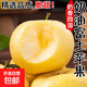 脆甜山東黃金奶油富士蘋果非維納斯蘋果 凈重1.5斤3個(gè)