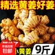 云南小黃姜新鮮老姜10斤沙姜仔姜月子姜南姜農(nóng)家現(xiàn)挖干姜生姜批發(fā) 9斤 【正宗小黃姜】源頭直采包郵