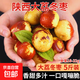 陜西大荔冬棗新鮮冬棗當(dāng)季脆甜青棗鮮棗整箱應(yīng)季時(shí)令孕婦水果冬棗 冬棗大果5斤(單果16-22g）