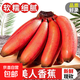 正宗紅香蕉紅皮美人蕉當季沐真咖啡蕉軟糯香甜孕婦新鮮水果香蕉 紅香蕉帶箱2斤裝2斤