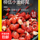 特大龍蝦尾新鮮冷凍少冰衣冷凍小龍蝦 1500g*1盒
