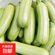 云南高山西葫蘆現摘現發(fā)新鮮蔬菜生鮮三月瓜 云南小瓜 2斤