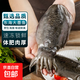 大墨魚 魚 鮮活冷凍舟山海捕東海特大目魚烏賊海鮮水產(chǎn)非墨魚仔 墨魚 3斤(凈重)