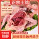 【大廠(chǎng)貨源】鴿子肉新鮮乳鴿冷凍非老鴿土鴿子農家散養現殺鴿肉 0.9-1斤  3只裝 乳鴿