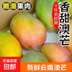 云南新鮮大澳芒 應(yīng)季蘋(píng)果芒熱帶甜心芒果水果整箱 澳芒2斤單果150-200g