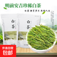 正宗安吉珍稀白茶新鮮嫩芽特級散裝雨前高山白茶濃香綠茶毛峰袋裝 125克*1袋