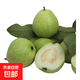 廣西白心芭樂(lè )脆甜白心番石榴新鮮水果 9斤
