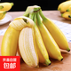 蘋果蕉新鮮香蕉自然熟芭蕉香甜粉糯萬澄現(xiàn)摘生鮮現(xiàn)發(fā)水果 帶箱2斤【4-8根】