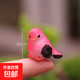 可愛(ài)迷你仿真彩色小鳥(niǎo)多肉花盆盆景裝飾微景觀(guān)手工diy小擺設擺件 紅色小鳥(niǎo)尺寸較小