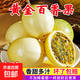 正宗廣西欽蜜9號黃金百香果毅果應季新鮮水果 現(xiàn)摘現(xiàn)發(fā) 品質好貨 寶寶果20個單果30g以下迷你果