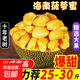 海南老樹(shù)黃肉菠蘿蜜一整個(gè)波羅蜜滿肉新鮮水果生鮮特產(chǎn)批發(fā)價(jià) 14-17斤