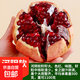 石榴樹(shù)樹(shù)苗突尼斯軟籽樹(shù)苗特大石榴樹(shù)苗無(wú)籽庭院地栽種植當年結果 河陰石榴【3公分粗帶土球發(fā)貨】