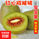 紅心獼猴桃新鮮當(dāng)季孕婦水果維C滿滿 6個(gè)【30-50克】迷你果