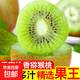 陜西徐香綠心獼猴桃現摘現發(fā)放軟吃 徐香12枚60-80g蛋托裝