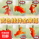 變色烤鴨掛件創(chuàng)意車載掛飾可愛臉紅鴨子小乳豬后視鏡車內(nèi)掛飾 變色掛飾-【全套】