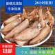 海兔干貨 筆管魚干貨滿籽小魷魚 500g