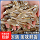 小魚干干貨北海特產(chǎn)咸銀魚公魚自制風(fēng)干海燕魚曬干無海鮮鹽海燕魚 海燕魚干250g