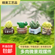 迷你仿真多肉小盆栽擺件樹脂工藝品DIY桌面裝飾品微景觀小擺件 多肉小擺件隨機(jī)款1套4個