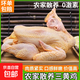 【自營(yíng)】農(nóng)家三黃雞正宗土雞散養(yǎng)新鮮童子雞整只走地雞優(yōu)質(zhì)肉質(zhì) 2只5斤裝 三黃雞