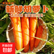 【綠色食品】新鮮水洗胡蘿卜低脂蔬菜減肥必備 涼拌燉炒 2斤含箱