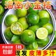 海南小金桔青金桔檸檬莫吉托新鮮水果奶茶店專(zhuān)用調味品單果5g-10g 海南青金桔2斤