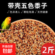 精品虎皮牡丹玄鳳中小型鸚鵡鳥食鳥糧五色黍子鸚鵡鳥糧混合營養(yǎng)糧 1000g 五色黍子（嚴選新糧）