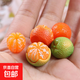 仿真樹(shù)脂卡通水果橘子奶油膠手機殼diy材料包手工制作樹(shù)脂配件 半剝橘子擺件【5個(gè)裝】