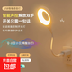 學(xué)生直插臺(tái)燈宿舍照明智能語音燈聲控?zé)艨刂苪sb迷你便攜卡通禮品臥室學(xué)習(xí)床頭小夜燈 智能語音燈