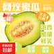 都知果寧夏沙地牛3網(wǎng)紋玫瓏哈密瓜軟糯香甜細膩爆汁京東包郵 2粒裝（凈重4-5斤）