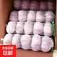 【特惠】精品山東金鄉(xiāng)紫白皮大蒜農(nóng)戶產(chǎn)地直發(fā)蔬菜涼拌小龍蝦調(diào)料 網(wǎng)兜裝490g（4.5-5.5cm）