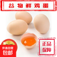 九珍鮮谷物鮮雞蛋 顆顆新鮮 營(yíng)養豐富 自然美味 6枚