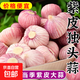 2025紫皮獨(dú)頭蒜干蒜當(dāng)季新鮮新蒜大蒜頭蔬菜糖醋腌制產(chǎn)地直發(fā)批發(fā) 1斤【約36-46個(gè)】源頭直采包郵