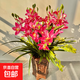 重瓣大花晚香玉種球室內(nèi)陽(yáng)臺(tái)種植好養(yǎng)花卉綠植盆栽四季好活易成活 玫紅 15-20芽整個(gè)球【開(kāi)花爆滿】