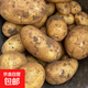 貴州高原洋芋新鮮現(xiàn)挖薄皮黃心香糯土豆馬鈴薯 100g以下 【實惠】9斤凈重