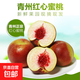 青州蜜桃毛桃桃子新鮮脆桃脆甜非水蜜桃新鮮桃子當季水果-華俊 4.5斤精品果