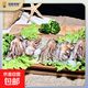 鮮凍小八爪鮮活 冷凍小八爪魚 章魚仔去齒 火鍋燒烤年夜飯食材 小八爪*1包 350g(凈重)  30%包冰