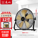 長城電風(fēng)扇趴地扇工業(yè)電風(fēng)扇強力大風(fēng)量落地扇商用坐地扇家用臺式扇工廠大功率風(fēng)扇臺式扇工地 12寸黑色趴地扇【四檔 五葉】強風(fēng)