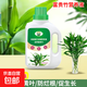 富貴竹專用營(yíng)養(yǎng)液水養(yǎng)水培植物肥料轉(zhuǎn)運(yùn)觀音竹子家用治黃葉通用 富貴竹專用營(yíng)養(yǎng)液500ml×1瓶