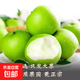 正宗安徽碭山梨現(xiàn)摘現(xiàn)發(fā)新鮮脆甜青皮碭山梨單果200g起千果悅 【8斤特大果】碭山梨箱裝200g起 清甜可口脆甜多汁